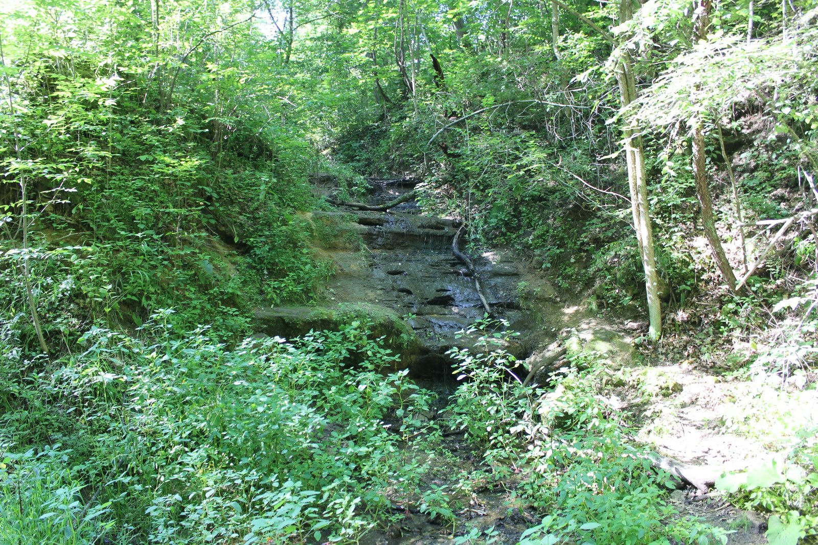 Spring near east portal